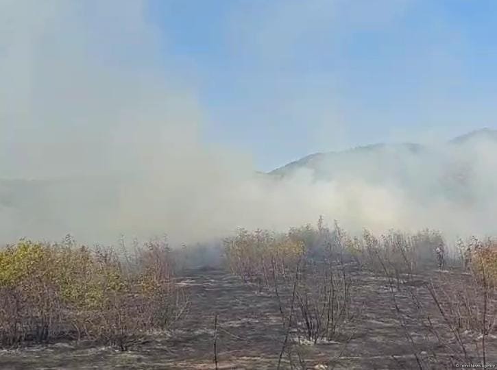 Ağdərədə yenidən yanğınlar başlayıb