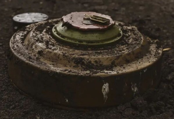 Ötən ay 7.022,1 hektar ərazi mina və PHS-lərdən təmizlənib