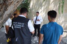 İçərişəhərdəki bütün ağacların qeydiyyatına və nömrələnməsinə başlanılıb (FOTO)