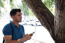 İçərişəhərdəki bütün ağacların qeydiyyatına və nömrələnməsinə başlanılıb (FOTO)