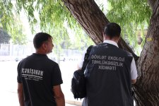 İçərişəhərdəki bütün ağacların qeydiyyatına və nömrələnməsinə başlanılıb (FOTO)
