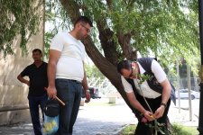 İçərişəhərdəki bütün ağacların qeydiyyatına və nömrələnməsinə başlanılıb (FOTO)