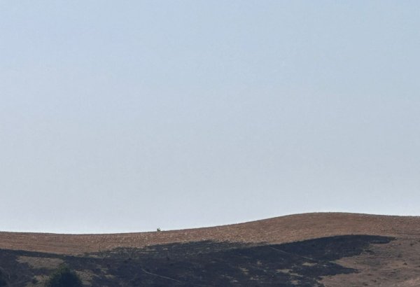 Şamaxıda yanğın törədən şəxs məsuliyyətə cəlb olunub