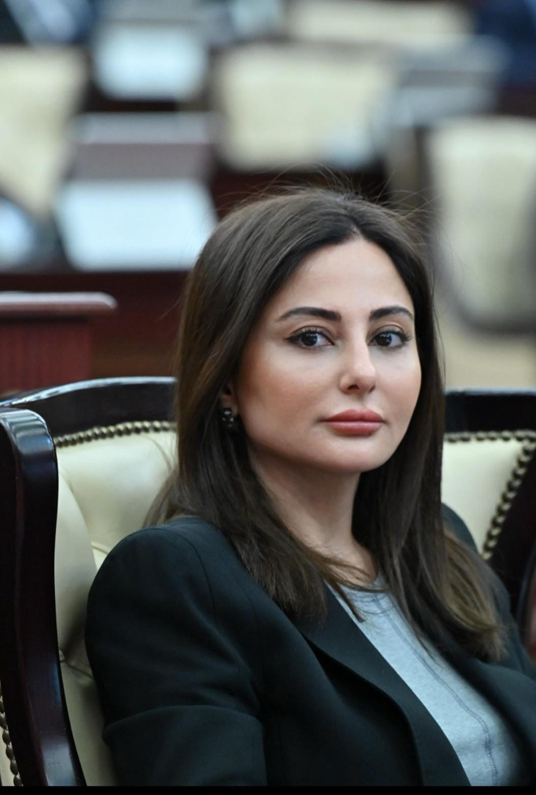 Azərbaycan regional sabitliyin tərəfdarıdır