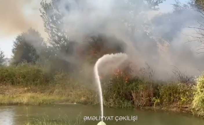 Qazaxda açıq ərazidə yanğın olub (VİDEO)