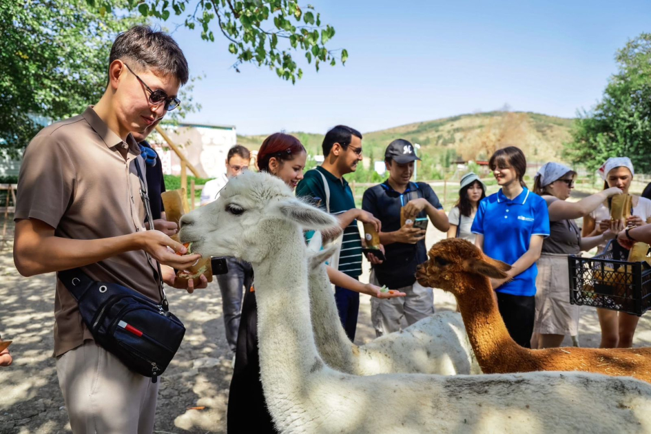 Şamaxıda COP29 İqlim Dəyişmələri üzrə ikinci Yay Düşərgəsi başa çatıb (FOTO)