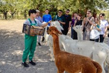 Şamaxıda COP29 İqlim Dəyişmələri üzrə ikinci Yay Düşərgəsi başa çatıb (FOTO)