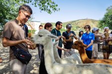 Şamaxıda COP29 İqlim Dəyişmələri üzrə ikinci Yay Düşərgəsi başa çatıb (FOTO)