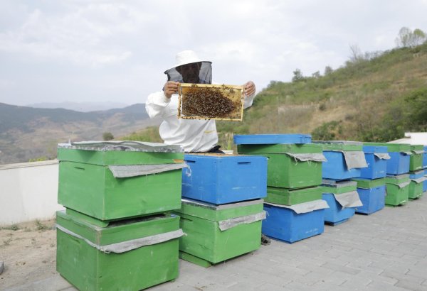 Son bir ayda özünüməşğulluq proqramının dəstəyi ilə 2 mindən çox şəxs üçün kiçik təsərrüfatlar yaradılıb