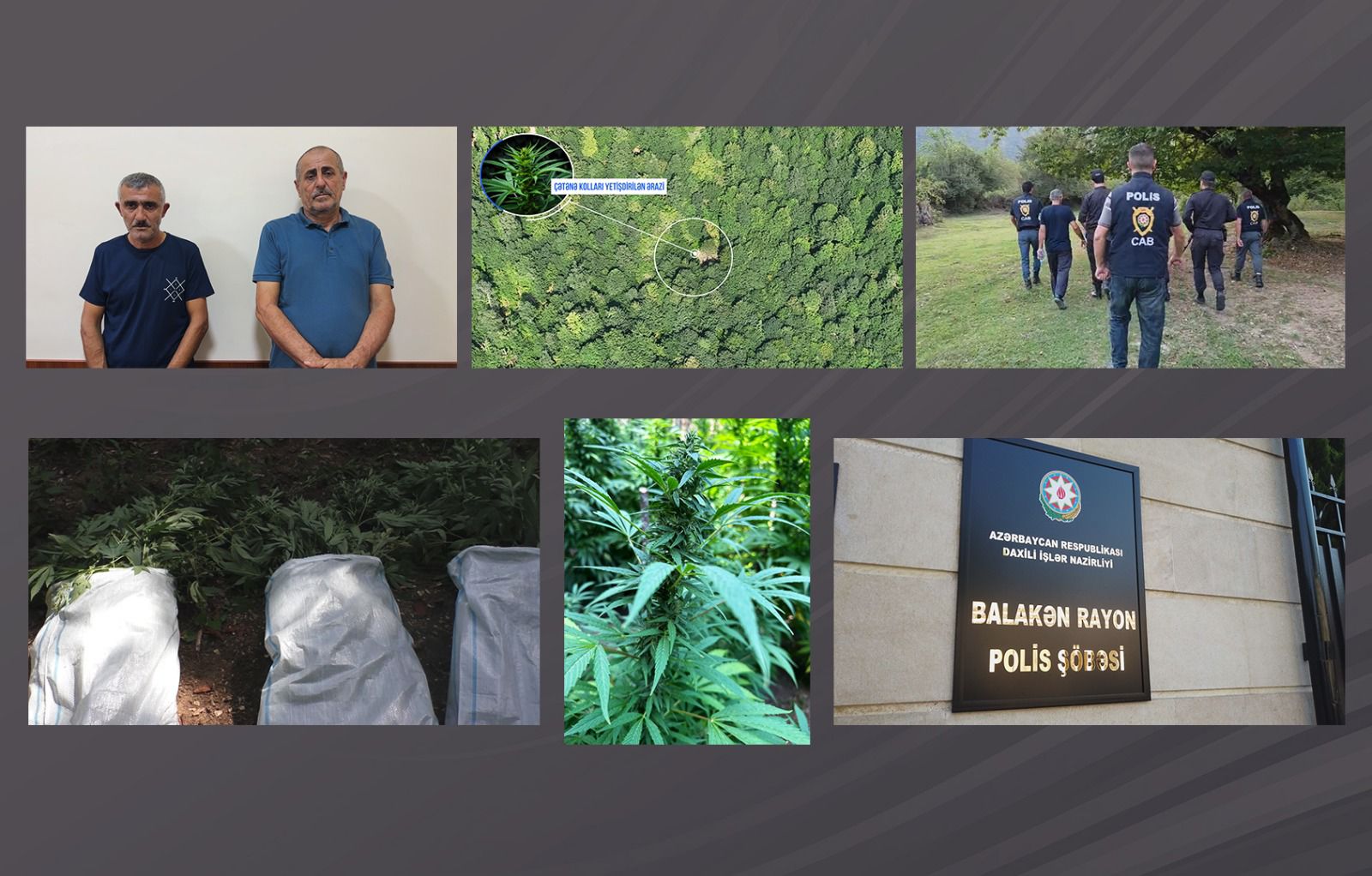 Balakəndə polis dağlarda əməliyyat keçirdi - Narkoplantasiya salan silahlı şəxslər tutuldu (VİDEO)