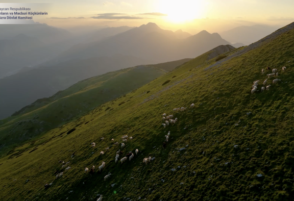 Kəlbəcər: Təbiətin səssiz nəğməsi (VİDEO)