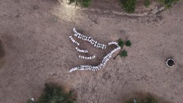 Ölkənin ən böyük gənclər festivalı “Yay Fest 2025” uğurla yekunlaşıb (FOTO)