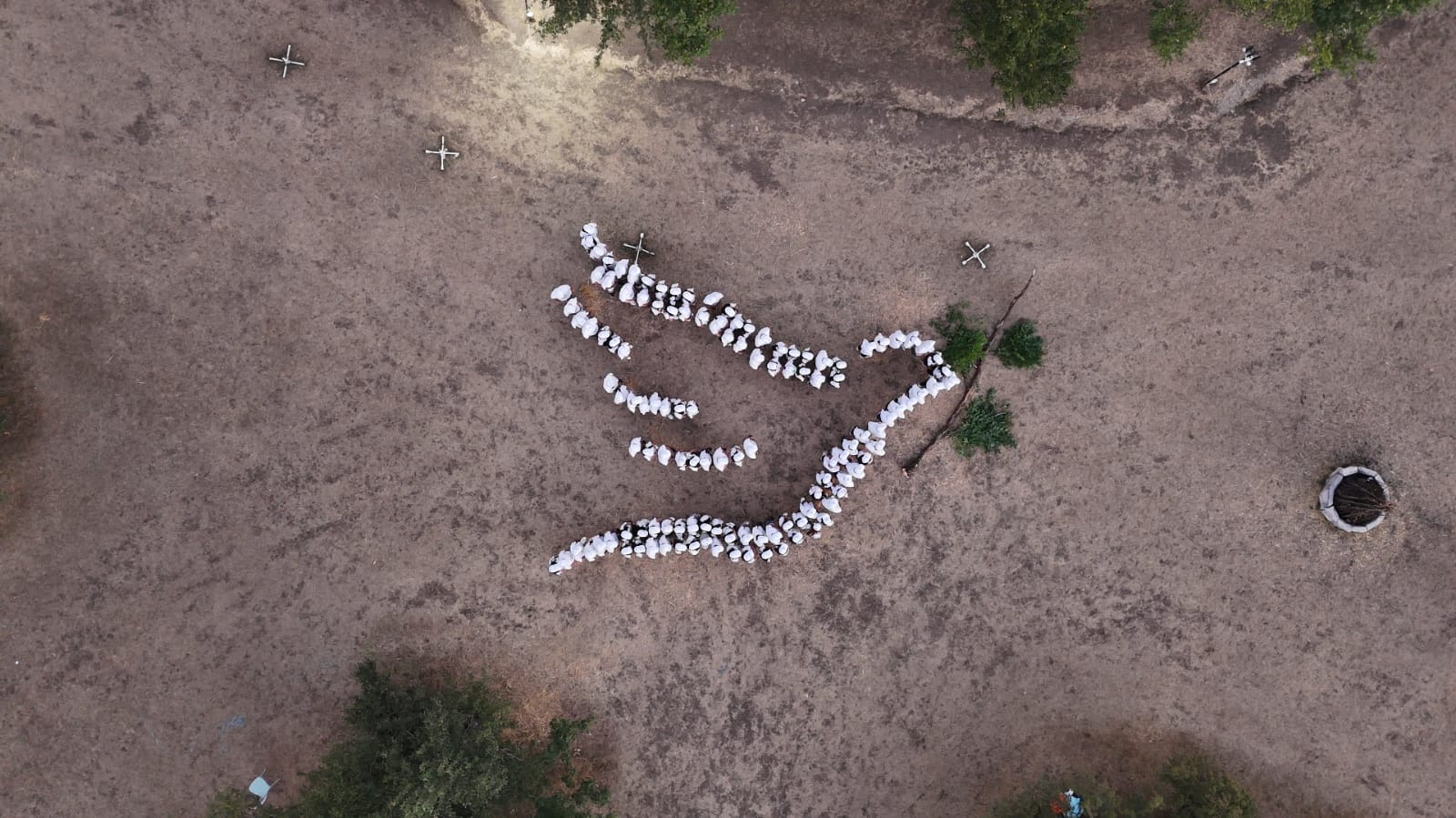 Ölkənin ən böyük gənclər festivalı “Yay Fest 2025” uğurla yekunlaşıb (FOTO)