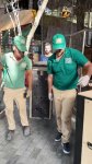 Sumqayıtda 2 dəvəquşu və 13 tutuquşu IDEA tərəfindən xilas edilib (FOTO/VİDEO)