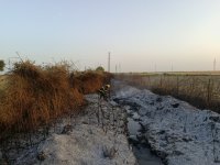 Qəsdən yanğıntörətmə faktının üstü açılıb (FOTO)