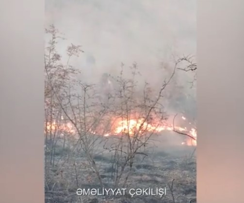 Ağdərədə mürəkkəb reylefli dağlıq ərazidə yanğın olub (VİDEO)