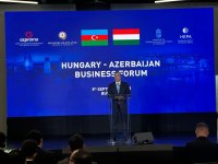 Budapeştdə Azərbaycan-Macarıstan biznes forumu keçirilib (FOTO)