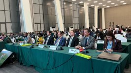 Azərbaycan Afrika qitəsinin iqlim çağırışları ilə bağlı yüksək-səviyyəli iclas keçirib (FOTO)