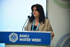 Xəzər dənizində 93 min kvadrat kilometr yeni quru ərazi üzə çıxa bilər