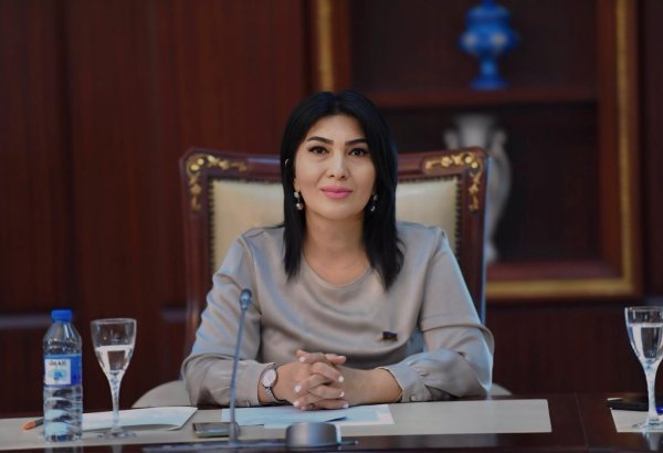 Məktəblərdə pulsuz təhsil interneti tətbiq olunmalıdır – Deputat