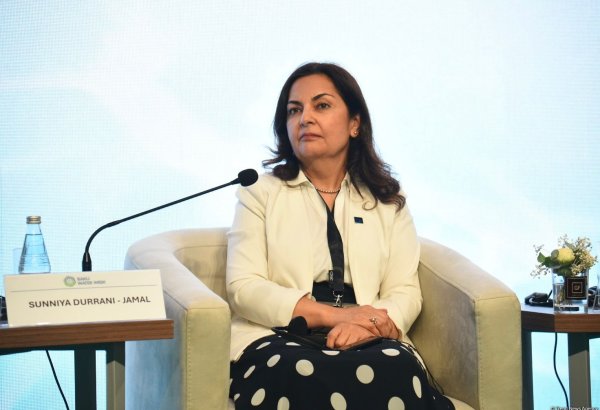 AİB Naxçıvana investisiya yatırımlarına böyük maraq göstərir - Azərbaycan üzrə direktor