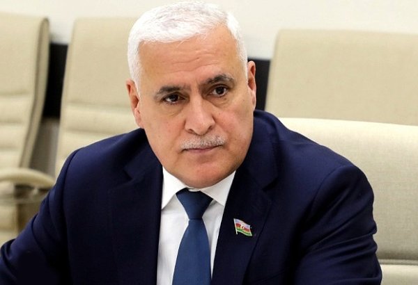 İnkarçılıq sindromuna yoluxan antimilli ünsürlər artıq mənəvi-əxlaqi böhran keçirir - Vüqar Rəhimzadə