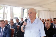 Xaçmazın