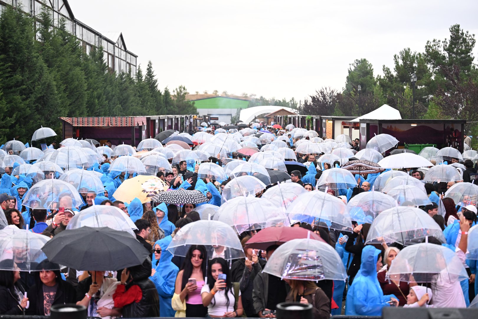 Şamaxıda növbəti Üzüm və Şərab Festivalının açılışı olub (FOTO)
