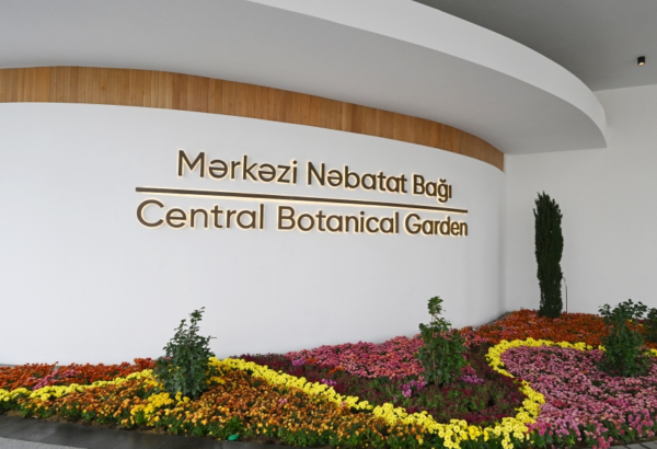 Mərkəzi Nəbatat Bağı ilə bağlı xüsusi proqram hazırlanır
