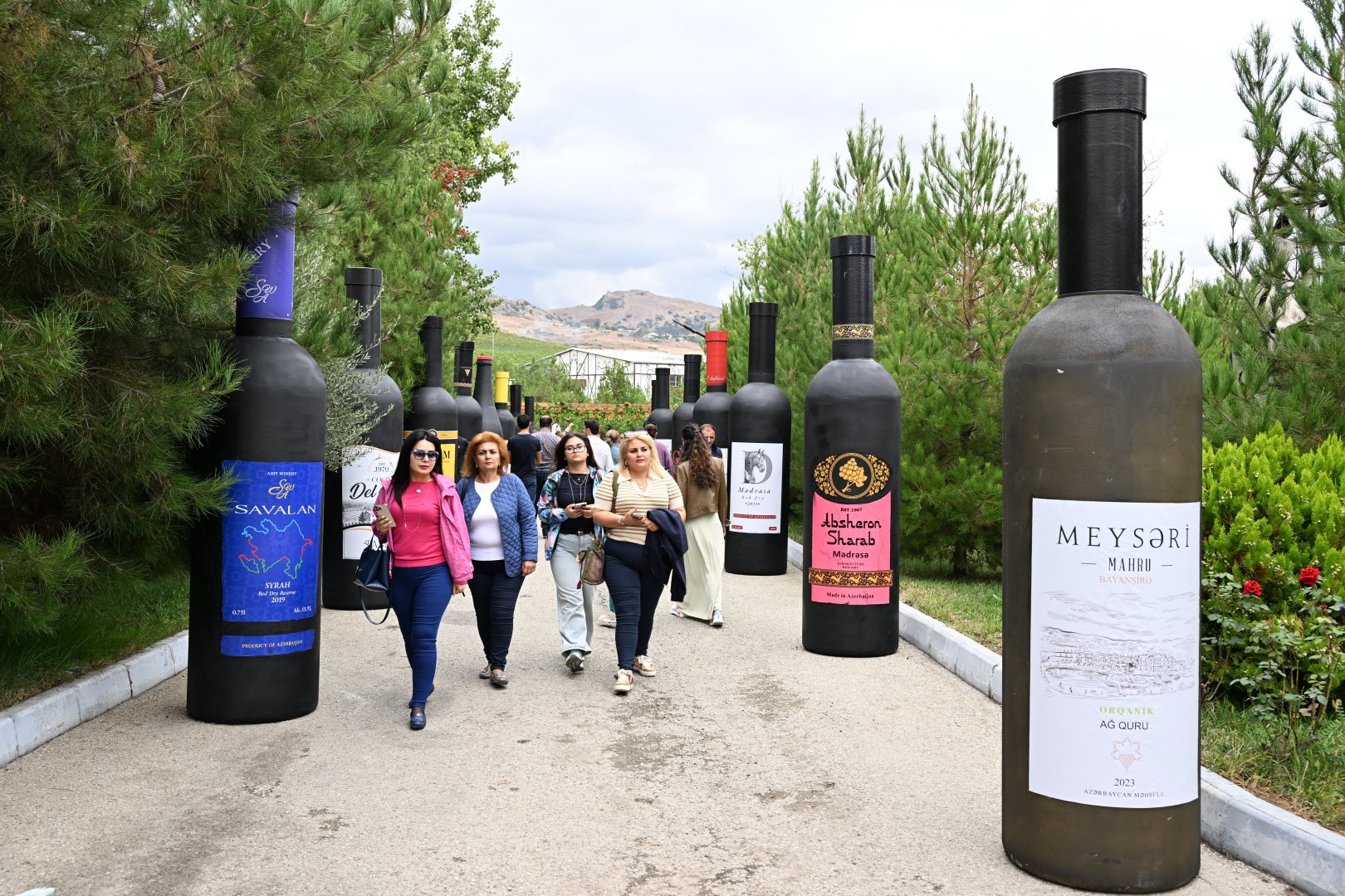 Şamaxıda Üzüm və Şərab Festivalı start götürür (FOTO)