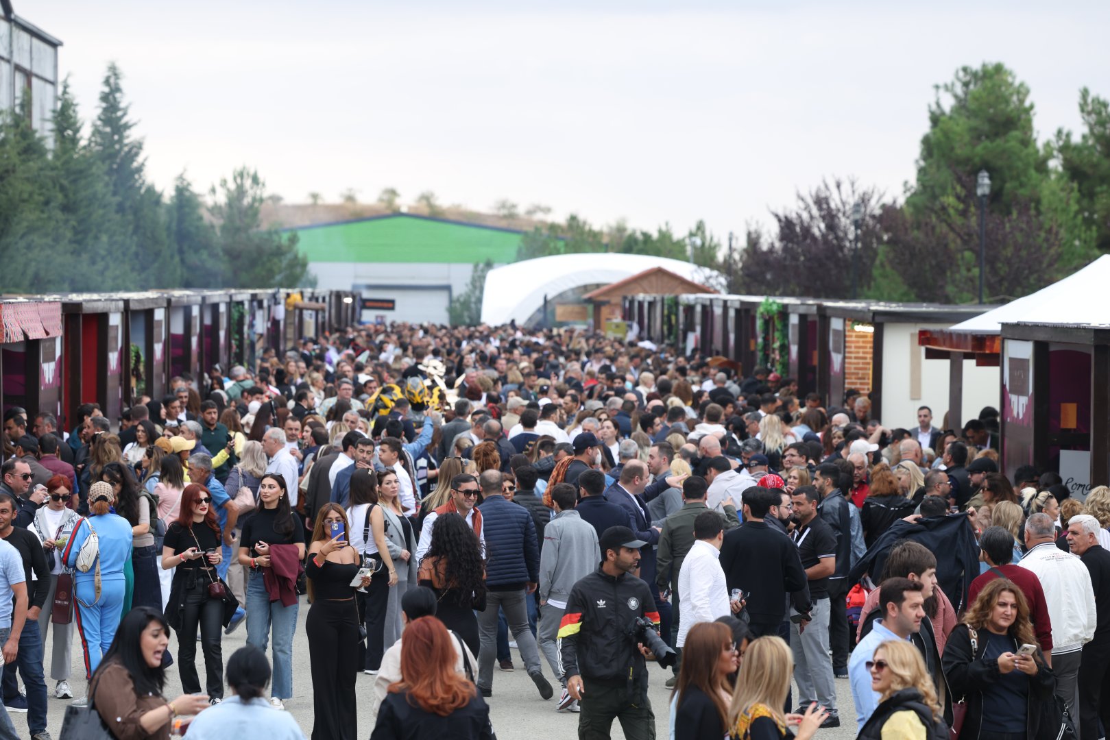 Şamaxıda Üzüm və Şərab Festivalı start götürür (FOTO)