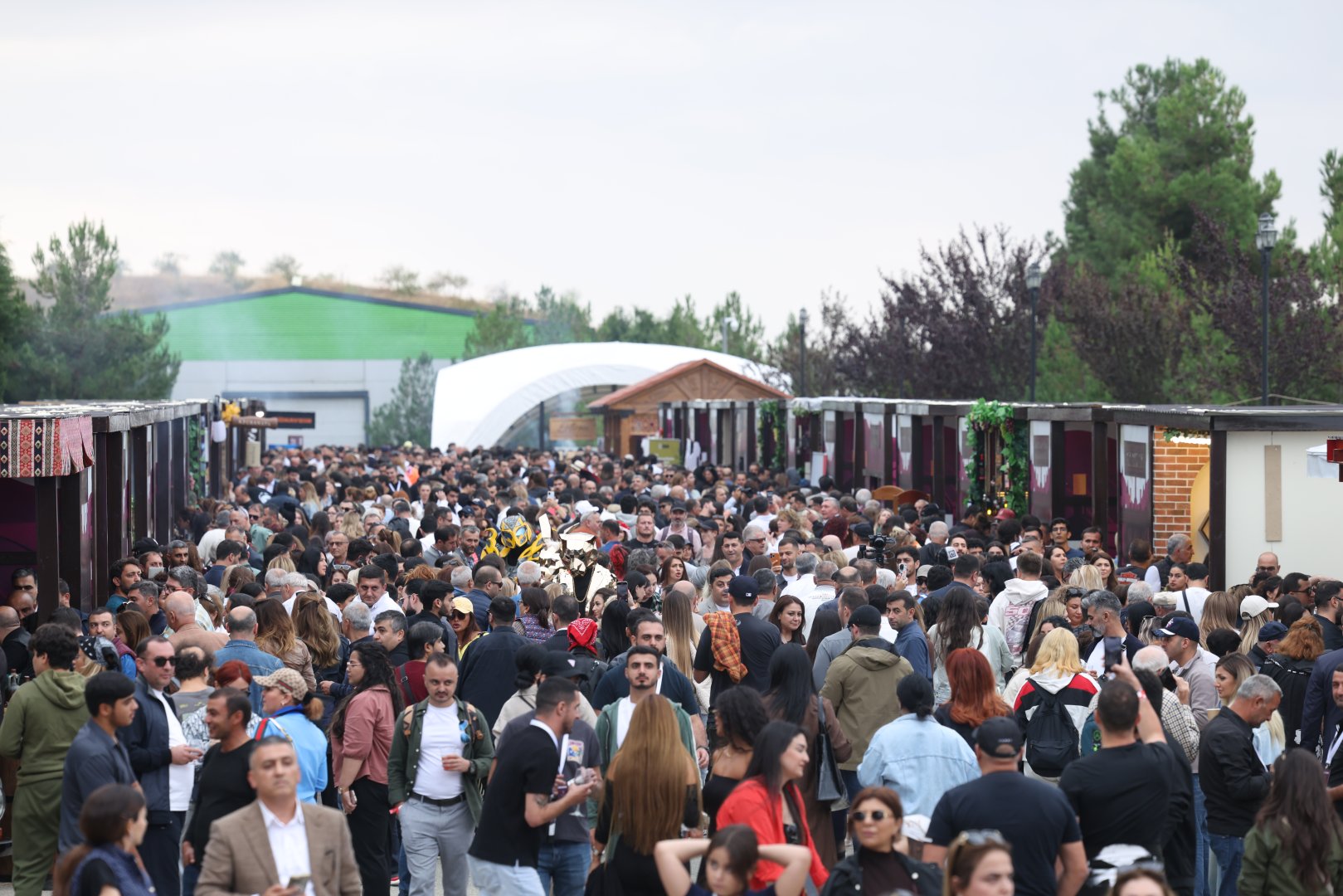 Şamaxıda Üzüm və Şərab Festivalı start götürür (FOTO)