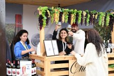 Şamaxıda Üzüm və Şərab Festivalı start götürür (FOTO)