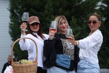 Şamaxıda növbəti Üzüm və Şərab Festivalının açılışı olub (FOTO)