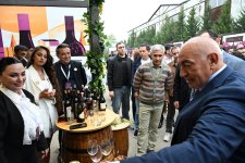 Şamaxıda növbəti Üzüm və Şərab Festivalının açılışı olub (FOTO)