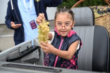 Şamaxıda növbəti Üzüm və Şərab Festivalının açılışı olub (FOTO)