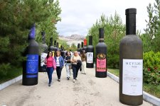 Şamaxıda Üzüm və Şərab Festivalı start götürür (FOTO)