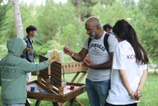 Şamaxıda Üzüm və Şərab Festivalı start götürür (FOTO)