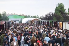 Şamaxıda Üzüm və Şərab Festivalı start götürür (FOTO)