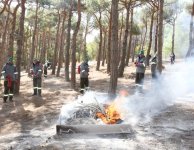 Mərkəzi Nəbatat Bağında təlim keçirilib (FOTO)
