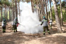 Mərkəzi Nəbatat Bağında təlim keçirilib (FOTO)