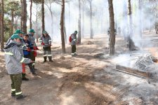 Mərkəzi Nəbatat Bağında təlim keçirilib (FOTO)