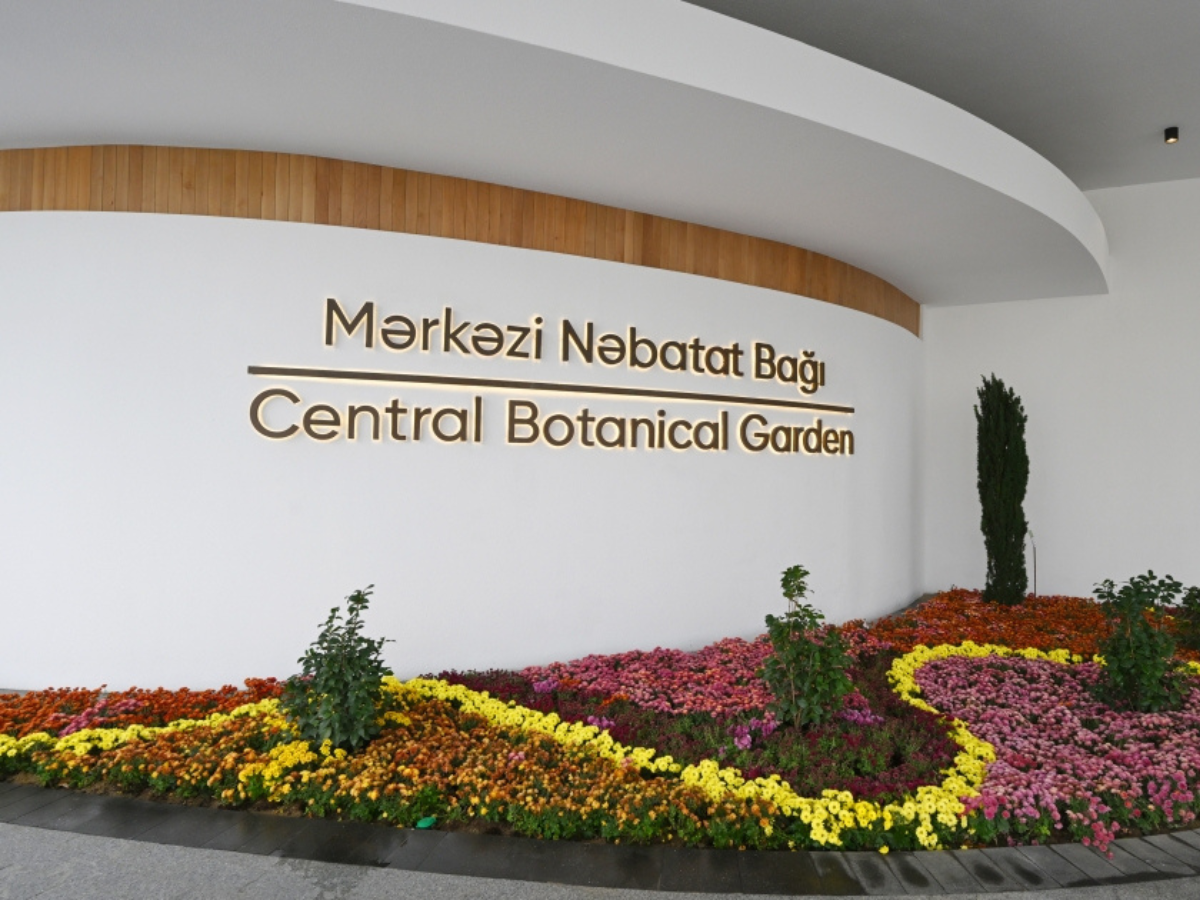Mərkəzi Nəbatat Bağı ilə bağlı xüsusi proqram hazırlanır