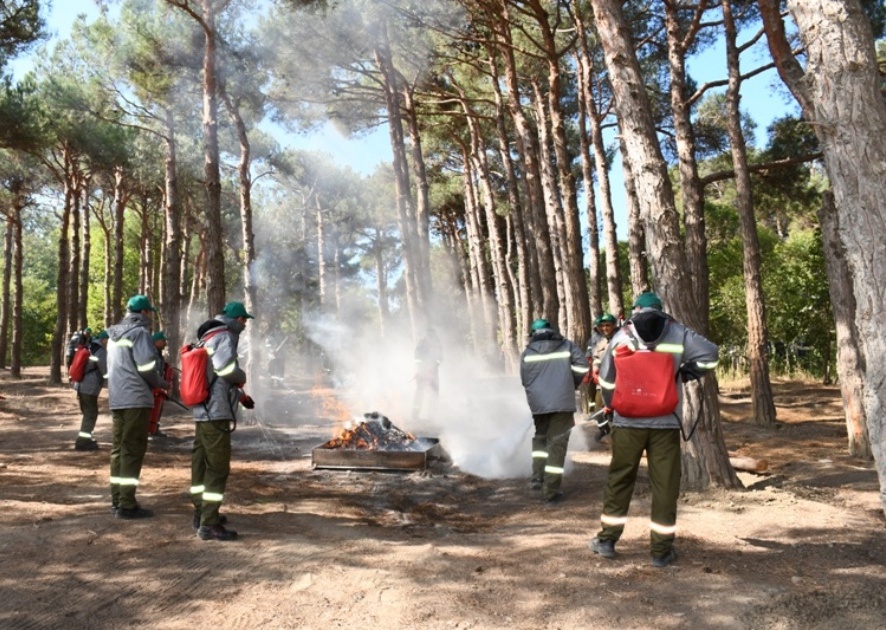 Mərkəzi Nəbatat Bağında təlim keçirilib (FOTO)