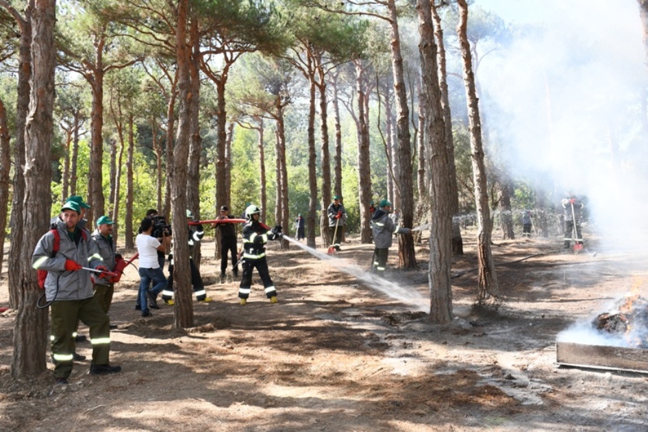 Mərkəzi Nəbatat Bağında təlim keçirilib (FOTO)