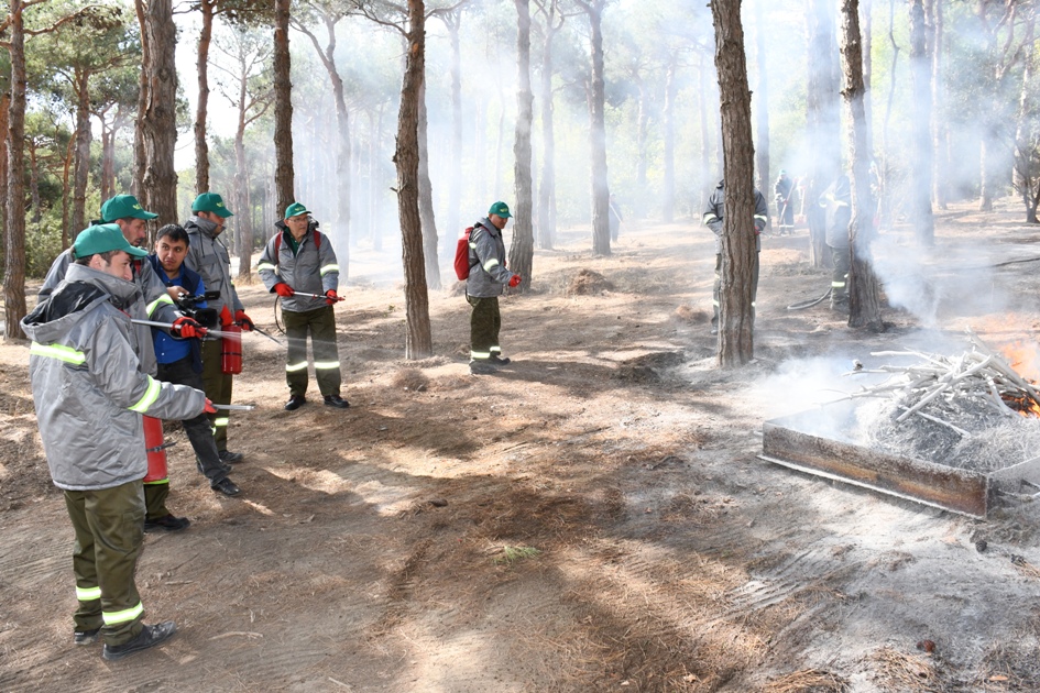 Mərkəzi Nəbatat Bağında təlim keçirilib (FOTO)
