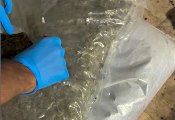 Qanunsuz saxlanılan 25 kiloqramdan artıq narkotik vasitə aşkar olunaraq götürülüb