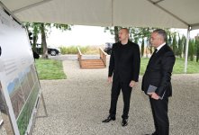 Prezident İlham Əliyev Xocalının Daşbulaq kəndində tut bağında görülmüş işlərlə tanış olub (FOTO)