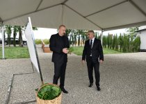 Prezident İlham Əliyev Xocalının Daşbulaq kəndində tut bağında görülmüş işlərlə tanış olub (FOTO)