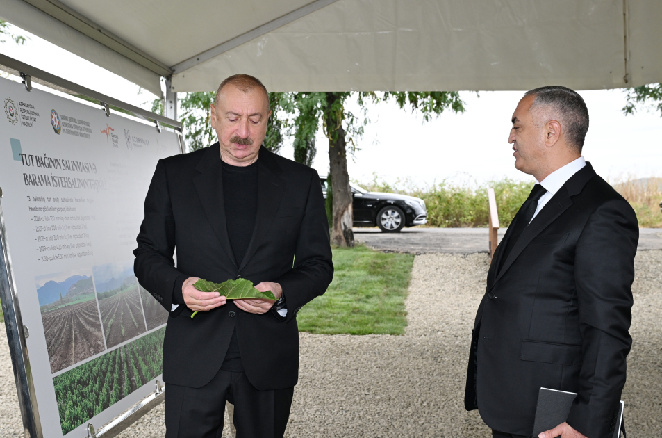 Prezident İlham Əliyev Xocalının Daşbulaq kəndində tut bağında görülmüş işlərlə tanış olub (FOTO)